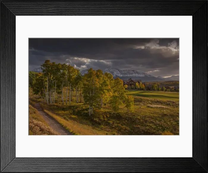 Framed Print : Alpine meadow in autumn near Telluride, Colorado, south west United States of America Framed Print : Alpine meadow in autumn near Telluride, Colorado, south west United States of America