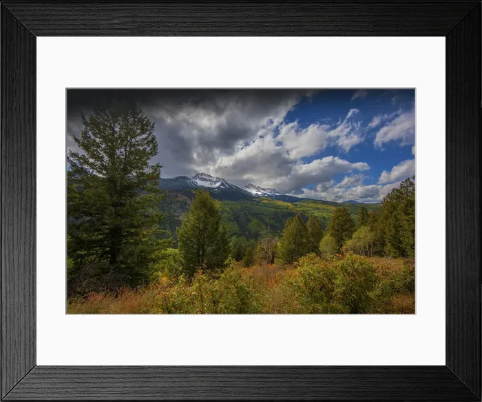 Framed Print : Alpine meadow in autumn near Telluride, Colorado, south west United States of America