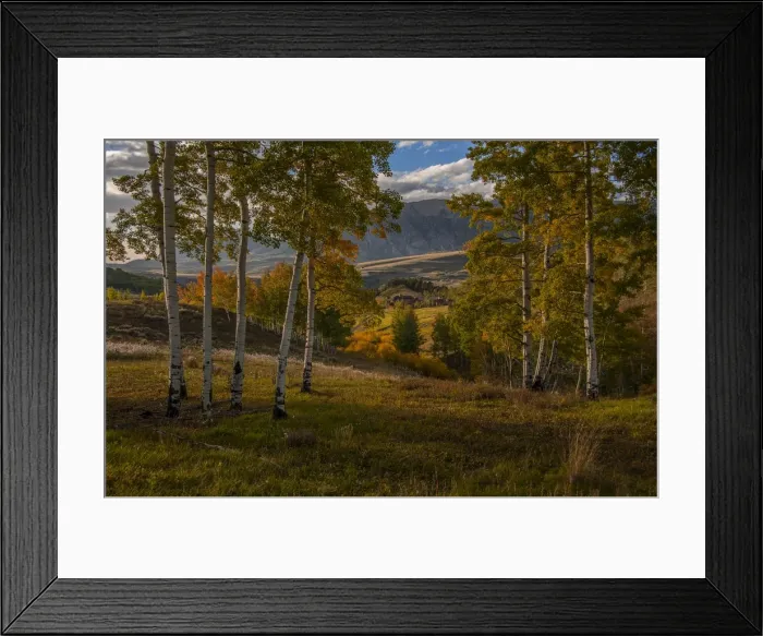 Framed Print : Alpine meadow in autumn near Telluride, Colorado, south west United States of America Framed Print : Alpine meadow in autumn near Telluride, Colorado, south west United States of America