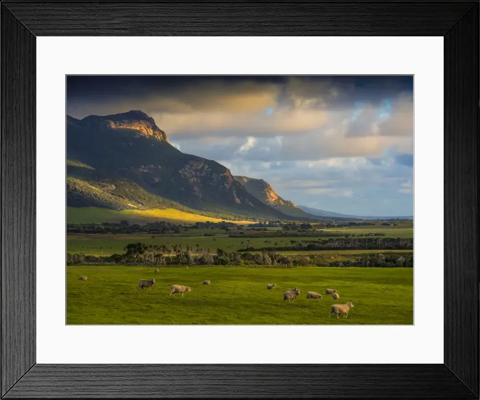 Framed Print : Dusk sweeps across the pastural land near Mount Strzelecki, Flinders Island, Bass Strait, Tasmania Framed Print : Dusk sweeps across the pastural land near Mount Strzelecki, Flinders Island, Bass Strait, Tasmania