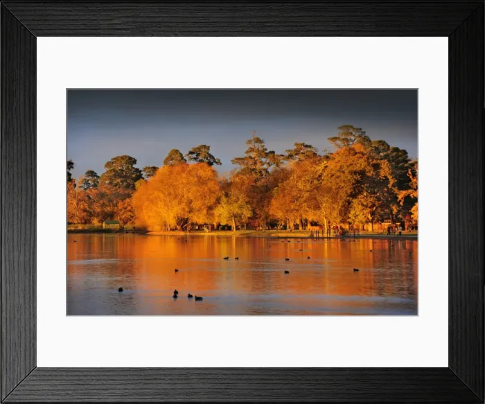 Framed Print : Lake Wendouree dawn in Autumn, Victoria, Australia