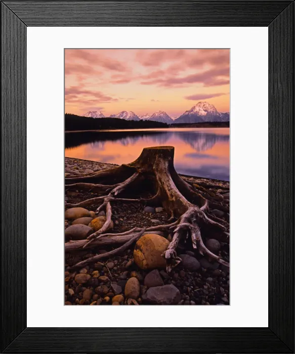 Framed Print : A beautiful coloured dawn casts its glow over Jackson lake in the Grand Tetons, Wyoming Framed Print : A beautiful coloured dawn casts its glow over Jackson lake in the Grand Tetons, Wyoming