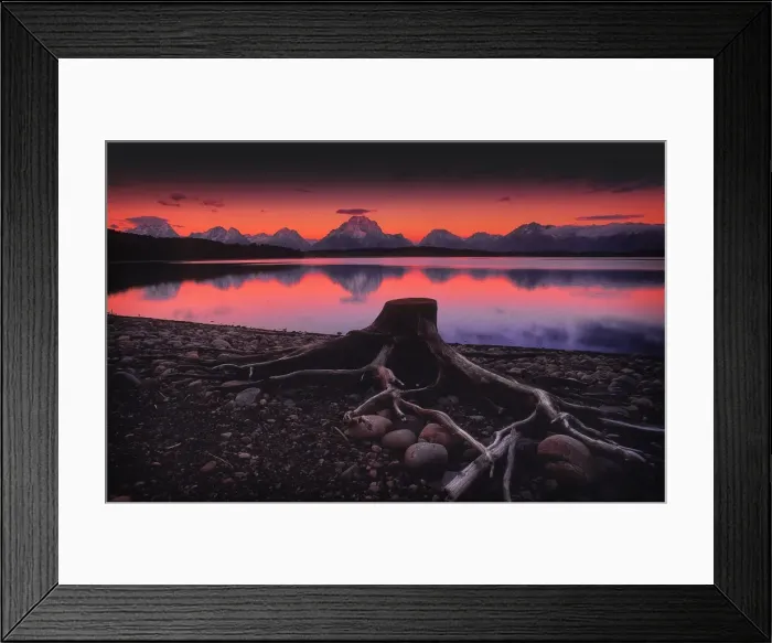 Framed Print : A beautiful coloured dawn casts its glow over Jackson lake in the Grand Tetons, Wyoming