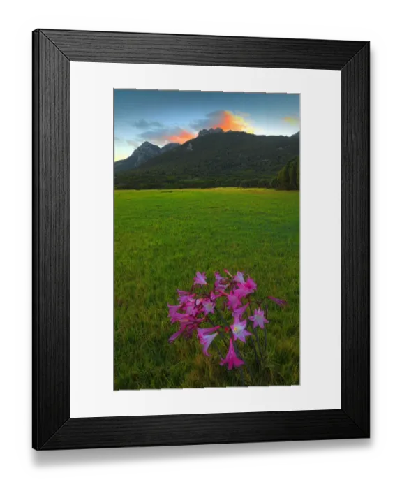 Framed Print : A dawn view towards Mount Strzelecki, Flinders Island, Bass Strait, Tasmania, Australia Framed Print : A dawn view towards Mount Strzelecki, Flinders Island, Bass Strait, Tasmania, Australia