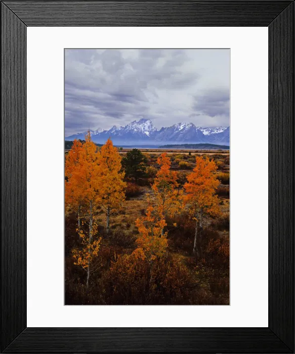 Framed Print : Autumn in the Grand Teton National Park, Wyoming, United States Framed Print : Autumn in the Grand Teton National Park, Wyoming, United States