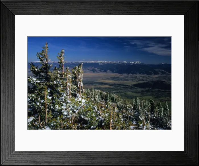 Framed Print : Grand Teton National Park, Wyoming, United States