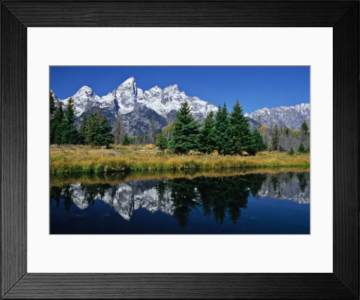 Framed Print : Beaver ponds Grand Teton National Park, Wyoming, United States