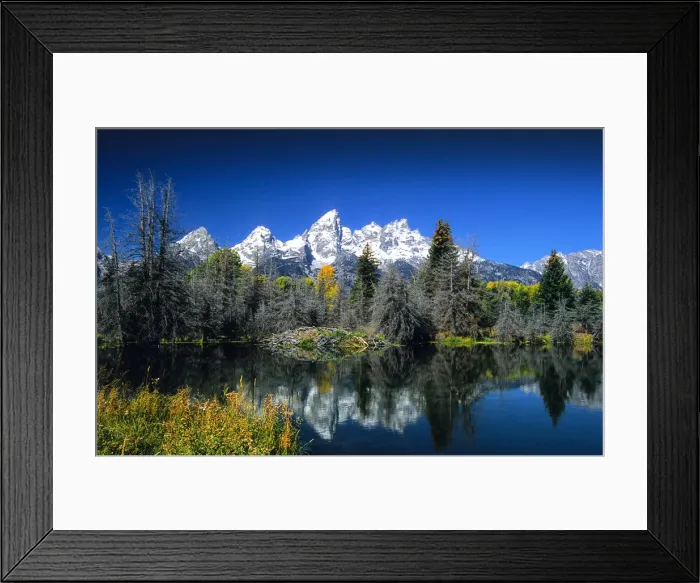 Framed Print : Beaver ponds Grand Teton National Park, Wyoming, United States Framed Print : Beaver ponds Grand Teton National Park, Wyoming, United States