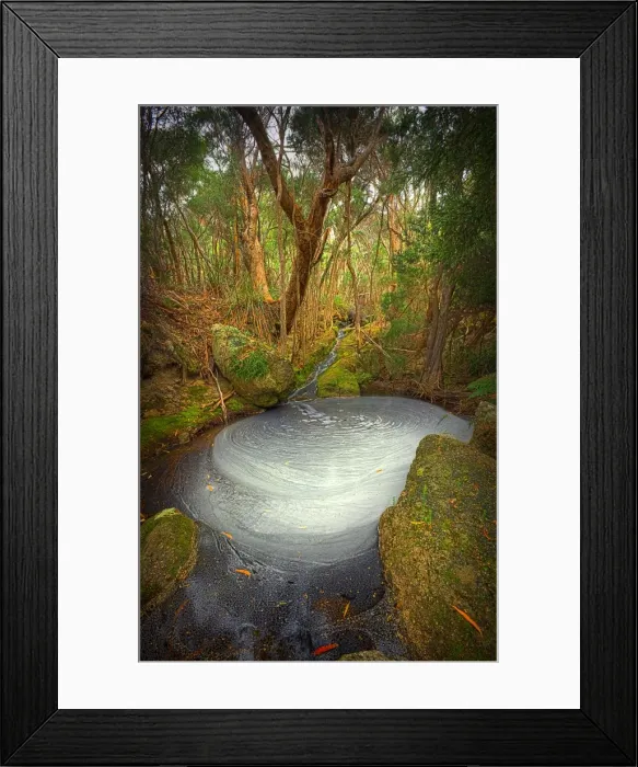 Framed Print : Fotheringate creek and rainforest, Lacotta, Flinders Island, Bass Strait, Tasmania, Australia Framed Print : Fotheringate creek and rainforest, Lacotta, Flinders Island, Bass Strait, Tasmania, Australia