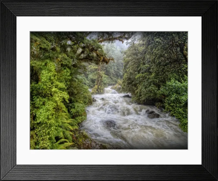 Framed Print : Poseidon creek, South Island, New Zealand Framed Print : Poseidon creek, South Island, New Zealand