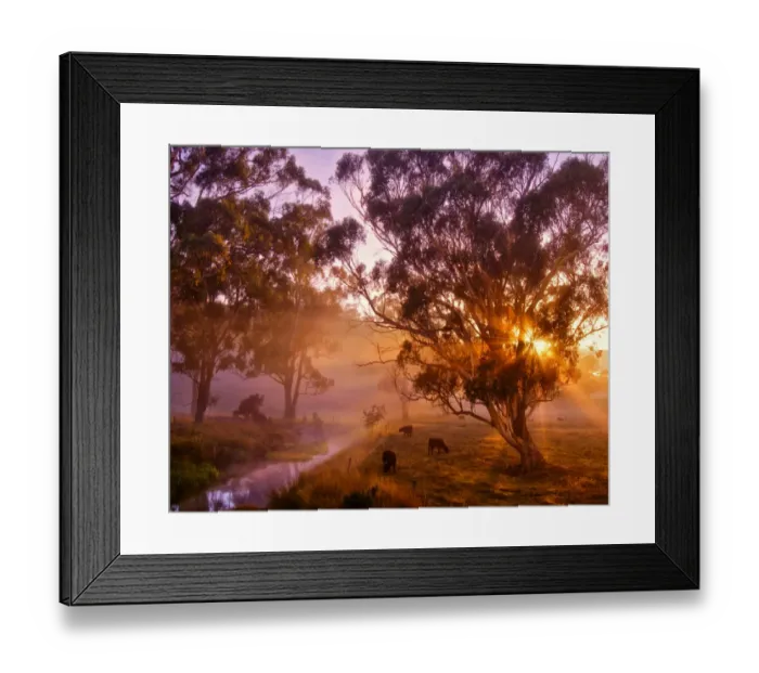Framed Print : A pastural dawn on a back road just outside Paradise, near Sheffield, Central Tasmania