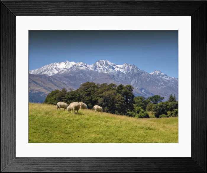 Framed Print : Pastural view near Glenorchy, South Island, New Zealand