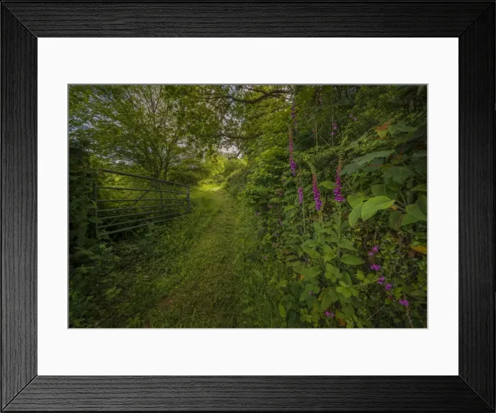 Framed Print : Gateway at west down