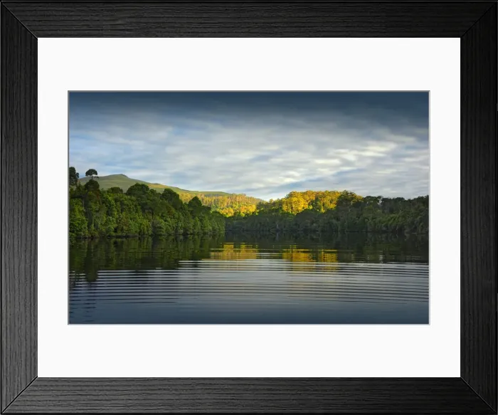 Framed Print : Pieman River, the island state, Tasmania, Australia Framed Print : Pieman River, the island state, Tasmania, Australia