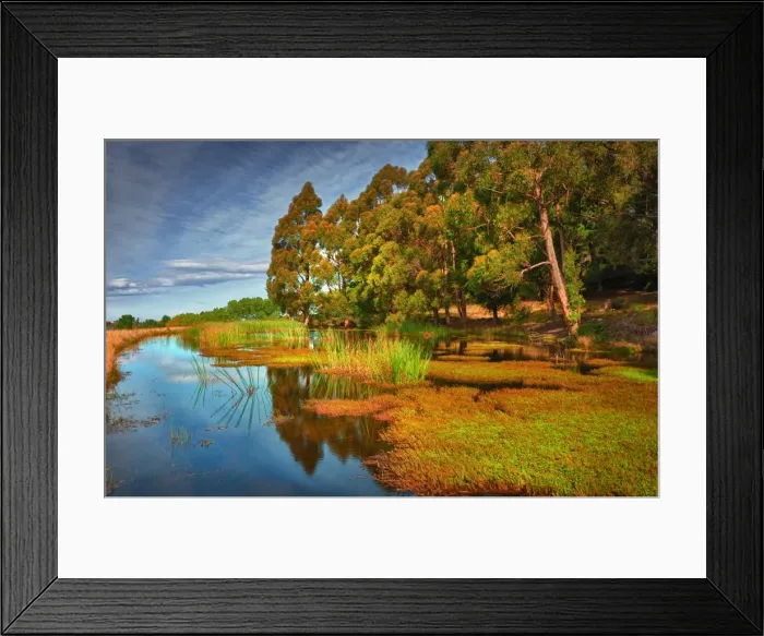 Framed Print : Quiet pond near Kettering in the southern area of the island state, Tasmania, Australia