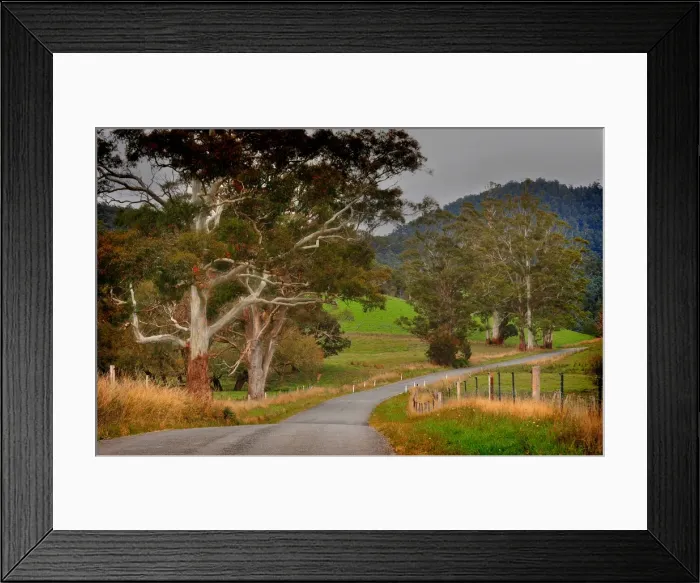 Framed Print : Pyangana road in the island state, Tasmania, Australia Framed Print : Pyangana road in the island state, Tasmania, Australia