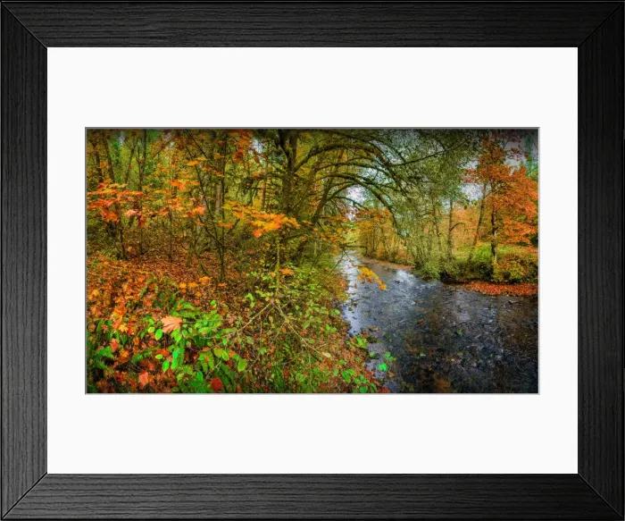 Framed Print : Autumn in South Prairie creek, Washington State, USA