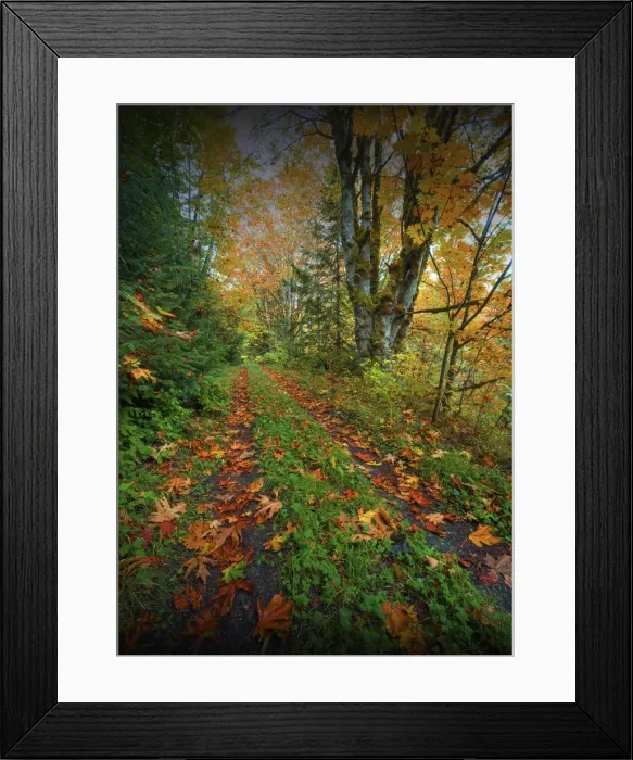 Framed Print : Elwha valley, Washington State, USA Framed Print : Elwha valley, Washington State, USA