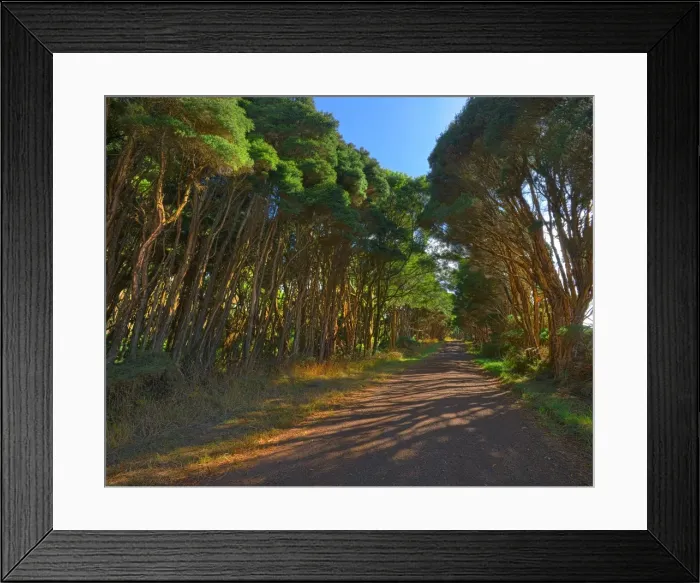 Framed Print : Rural roadway, King Island, Bass Strait, Tasmania, Australia