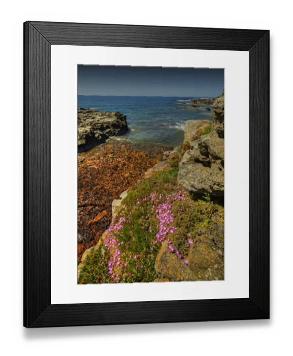 Framed Print : Seal Point, King Island, Bass Strait, Tasmania, Australia