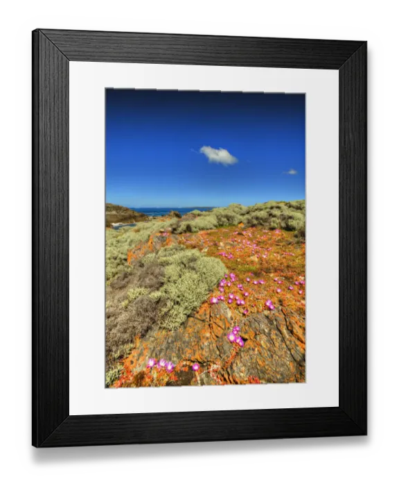 Framed Print : Seal Point, King Island, Bass Strait, Tasmania, Australia