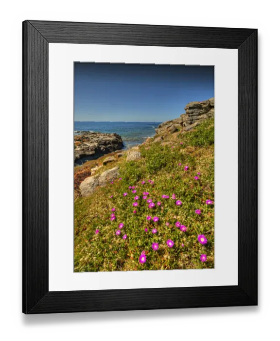 Framed Print : Seal Point, King Island, Bass Strait, Tasmania, Australia