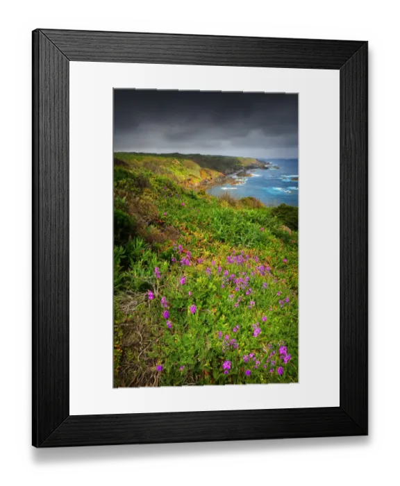 Framed Print : Seal Rocks, King Island, Bass Strait, Tasmania, Australia