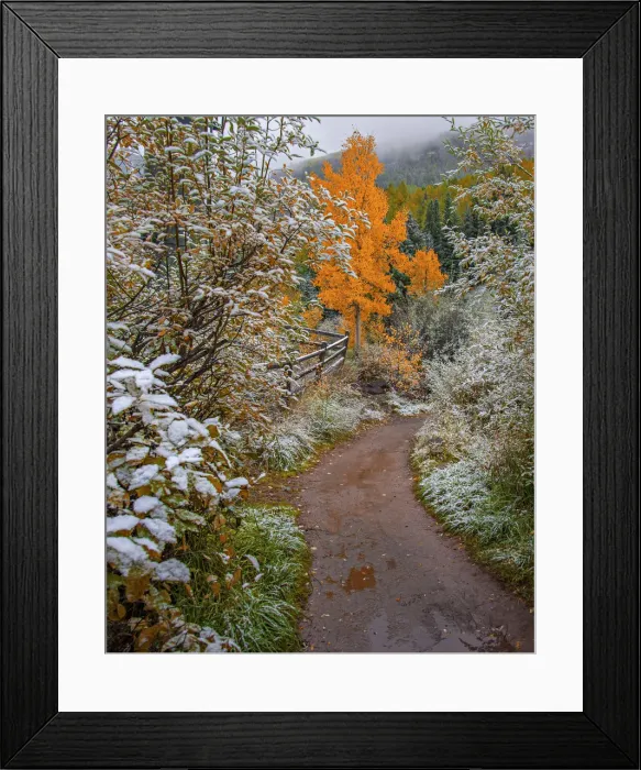 Framed Print : Telluride, Colorado, south western United States of America