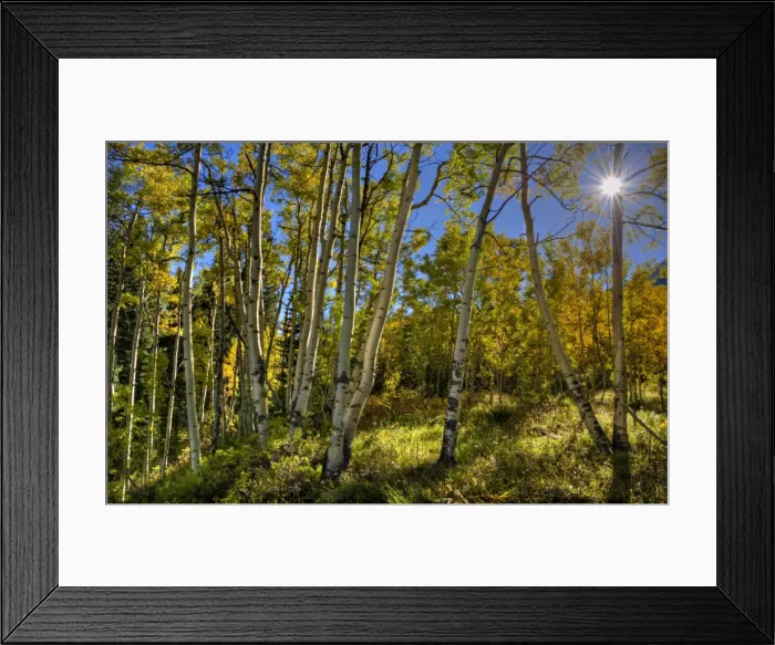 Framed Print : Castle creek, Colorado, south western United States of America Framed Print : Castle creek, Colorado, south western United States of America