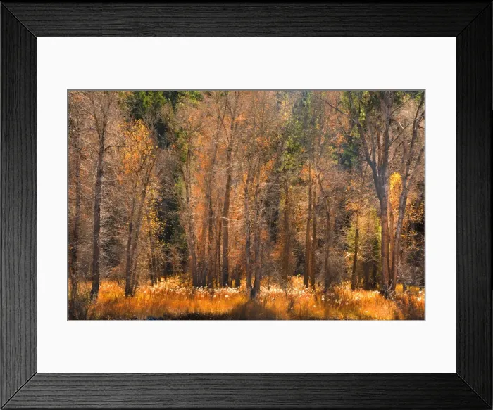 Framed Print : Telluride, Colorado, south western United States of America