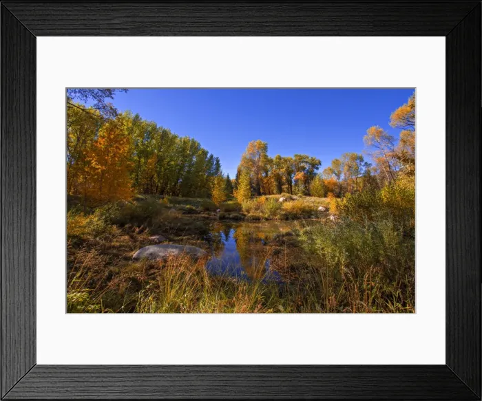 Framed Print : Ashcroft, Colorado, south western United States of America