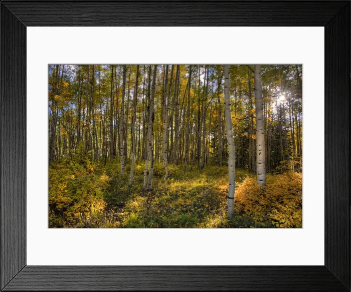 Framed Print : Ashcroft, Colorado, south western United States of America Framed Print : Ashcroft, Colorado, south western United States of America