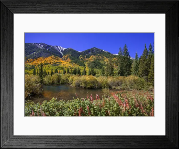 Framed Print : Gunnison Autumn colours, Colorado, south western United States of America