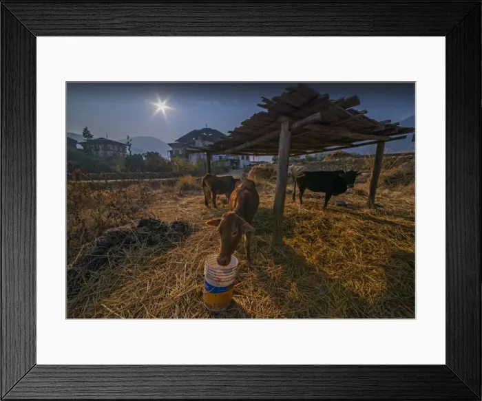 Framed Print : Wangdue Phodrang, Kingdom of Bhutan, Eastern Himalayas