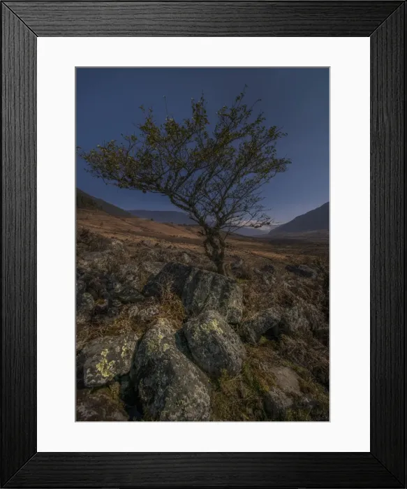 Framed Print : Wangdue Phodrang, Kingdom of Bhutan, Eastern Himalayas