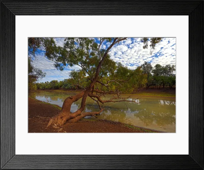 Framed Print : Lagoon at Comeroo, outback New South Wales, Australia Framed Print : Lagoon at Comeroo, outback New South Wales, Australia