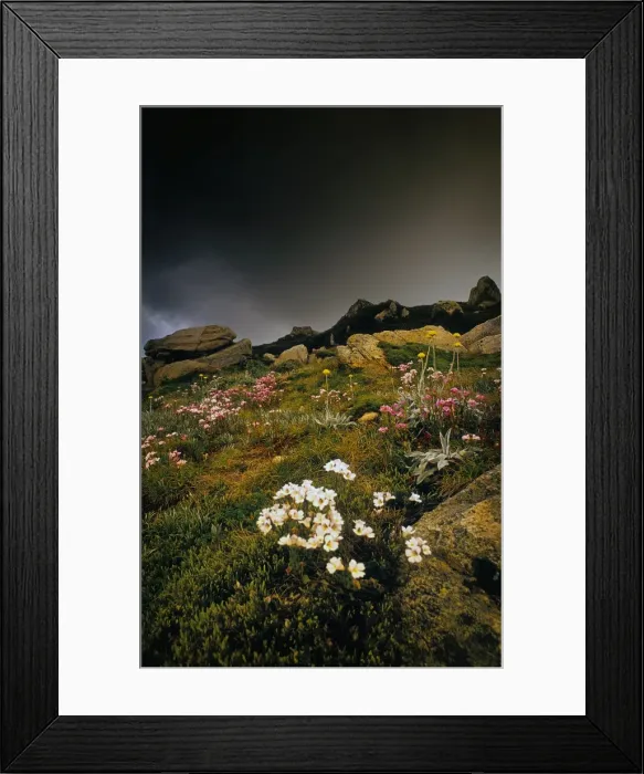 Framed Print : An Alpine view, Snowy Mountains, New South Wales, Australia