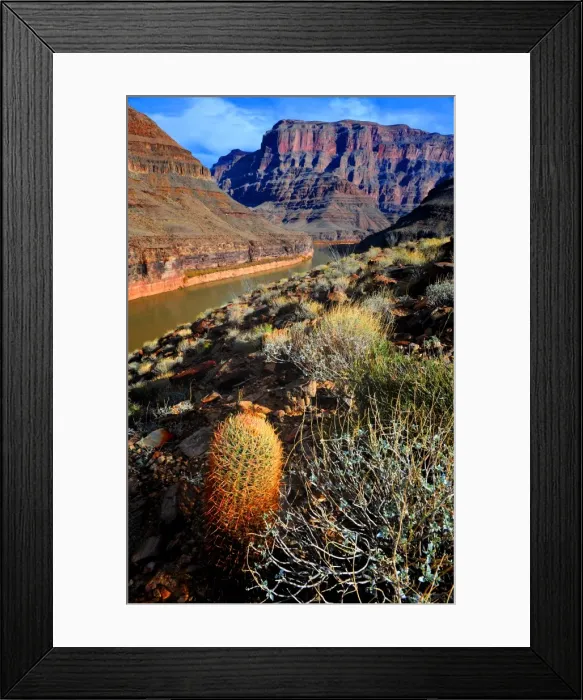 Framed Print : West rim Grand Canyon, Arizona, south western United States of America Framed Print : West rim Grand Canyon, Arizona, south western United States of America