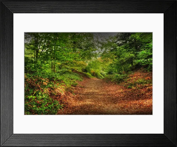 Framed Print : Pinkworth Aboretum, Surrey, England, United Kingdom