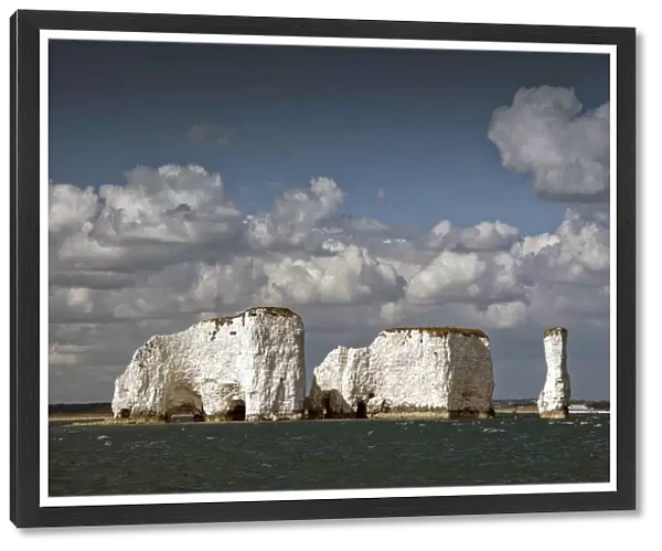 Old Harry rocks, Dorset, England, United Kingdom