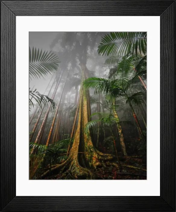 Framed Print : Queensland, Australia Framed Print : Queensland, Australia