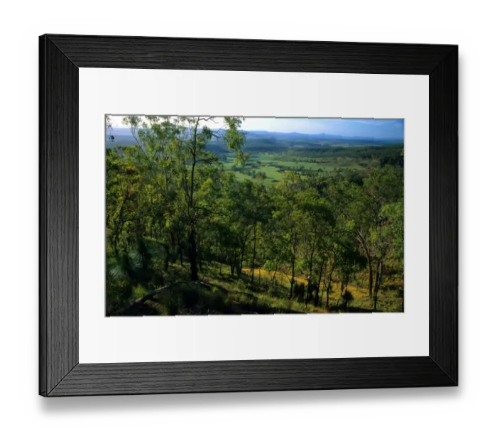 Framed Print : Lamington National Park, Queensland, Australia Framed Print : Lamington National Park, Queensland, Australia