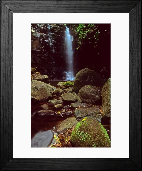 Framed Print : Lamington National Park, Queensland, Australia Framed Print : Lamington National Park, Queensland, Australia
