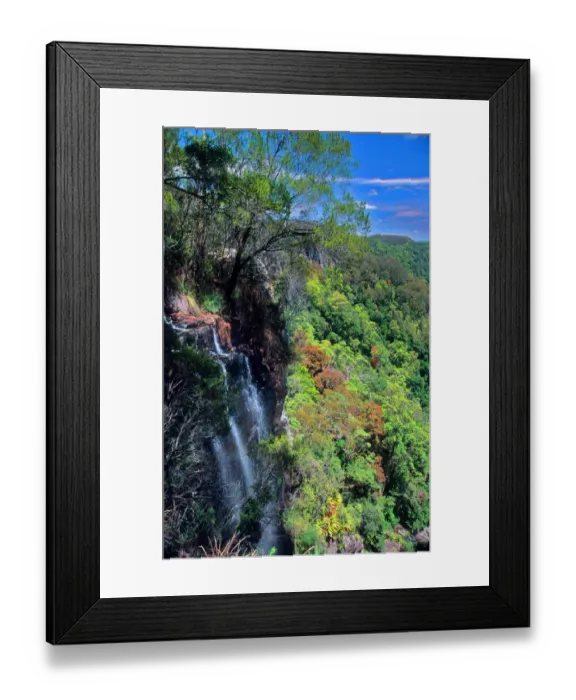 Framed Print : Lamington National Park, Queensland, Australia Framed Print : Lamington National Park, Queensland, Australia