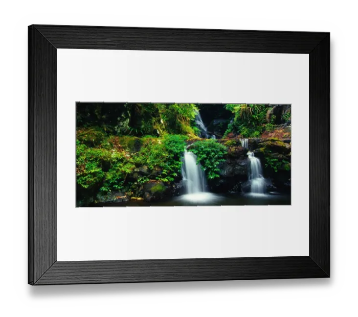 Framed Print : Lamington national Park, south east Queensland, Australia Framed Print : Lamington national Park, south east Queensland, Australia