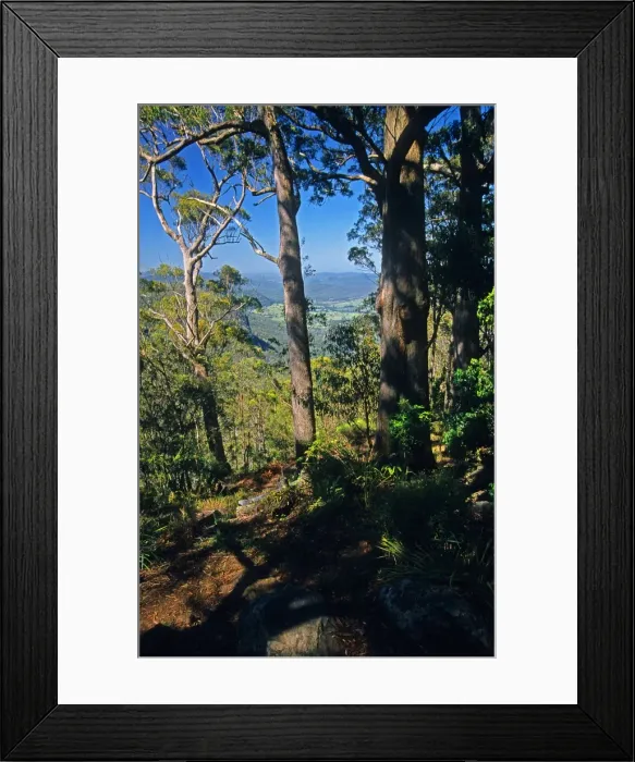 Framed Print : Lamington National Park, Queensland, Australia