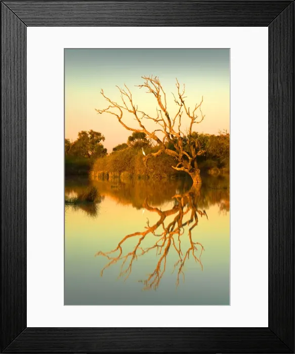 Framed Print : Dusk on the flooded lagoon at Birdsville, outback Queensland, Australia Framed Print : Dusk on the flooded lagoon at Birdsville, outback Queensland, Australia