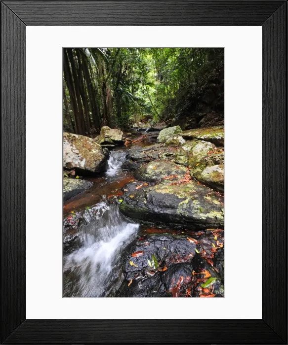 Framed Print : Cedar creek, Mount Tamborine, Queensland, Australia Framed Print : Cedar creek, Mount Tamborine, Queensland, Australia