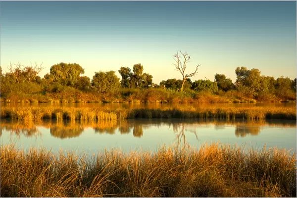 Lagoon in flood, Birdsville, outback Queensland, Australia