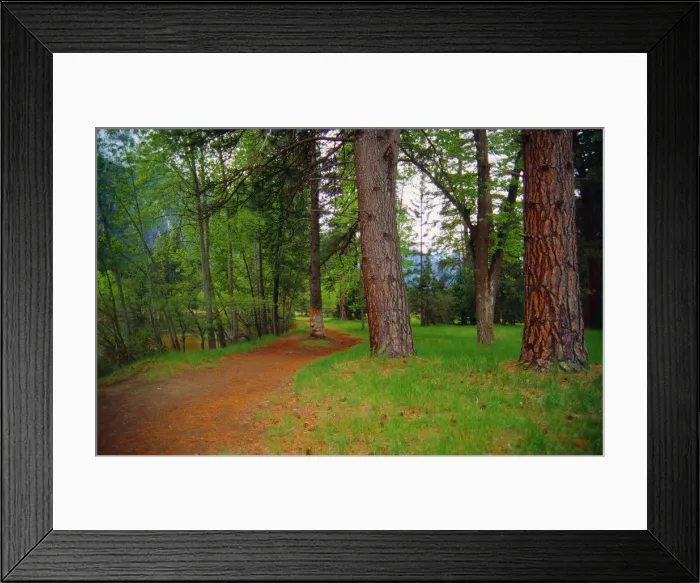 Framed Print : Spring-time in the Yosemite National Park, California, Western United States of America Framed Print : Spring-time in the Yosemite National Park, California, Western United States of America